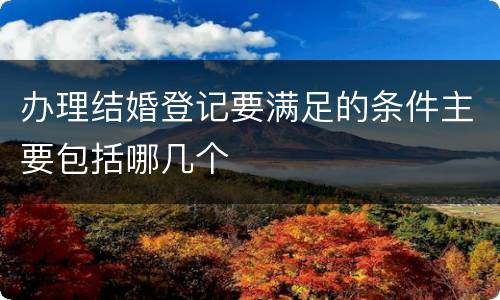 办理结婚登记要满足的条件主要包括哪几个
