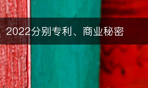 2022分别专利、商业秘密