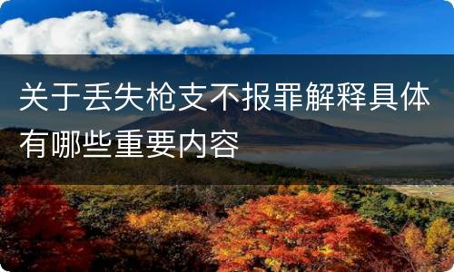 关于丢失枪支不报罪解释具体有哪些重要内容