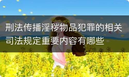 刑法传播淫秽物品犯罪的相关司法规定重要内容有哪些