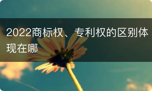 2022商标权、专利权的区别体现在哪