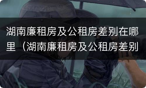 湖南廉租房及公租房差别在哪里（湖南廉租房及公租房差别在哪里查询）