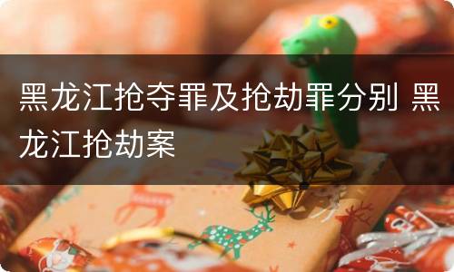 黑龙江抢夺罪及抢劫罪分别 黑龙江抢劫案