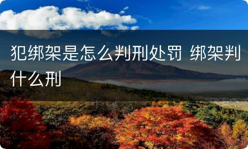 犯绑架是怎么判刑处罚 绑架判什么刑
