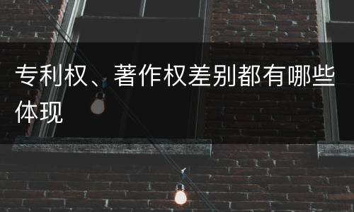 专利权、著作权差别都有哪些体现