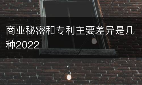 商业秘密和专利主要差异是几种2022