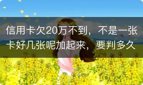 信用卡欠20万不到，不是一张卡好几张呢加起来，要判多久