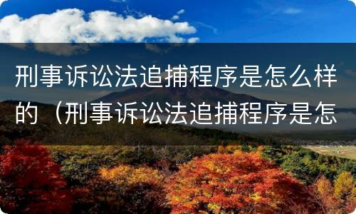 刑事诉讼法追捕程序是怎么样的（刑事诉讼法追捕程序是怎么样的呢）