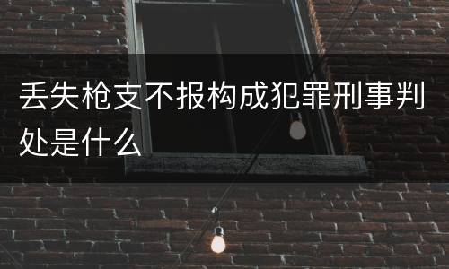 丢失枪支不报构成犯罪刑事判处是什么
