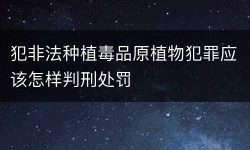 犯非法种植毒品原植物犯罪应该怎样判刑处罚