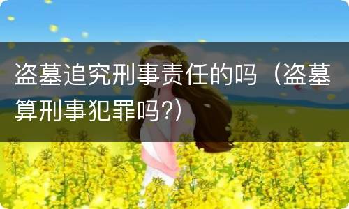 盗墓追究刑事责任的吗（盗墓算刑事犯罪吗?）