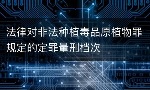 法律对非法种植毒品原植物罪规定的定罪量刑档次