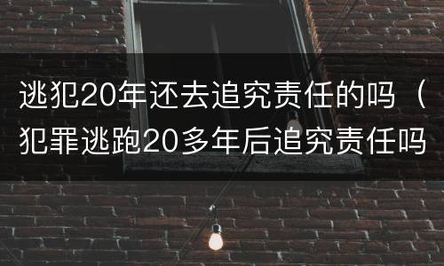 逃犯20年还去追究责任的吗（犯罪逃跑20多年后追究责任吗）