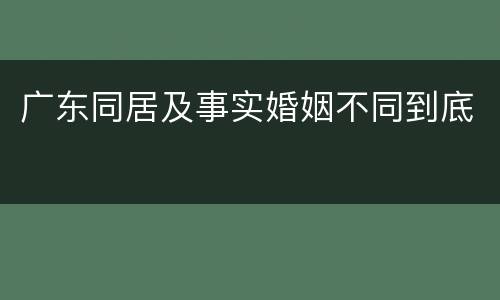广东同居及事实婚姻不同到底