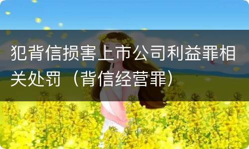 犯背信损害上市公司利益罪相关处罚（背信经营罪）