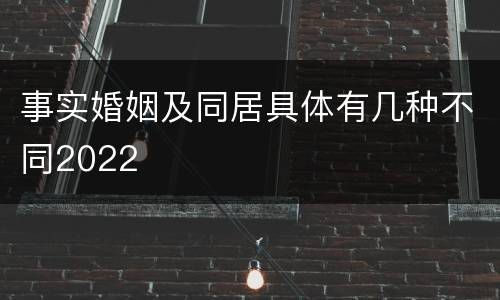 事实婚姻及同居具体有几种不同2022