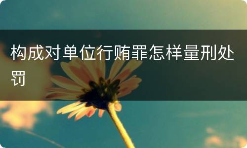 构成对单位行贿罪怎样量刑处罚