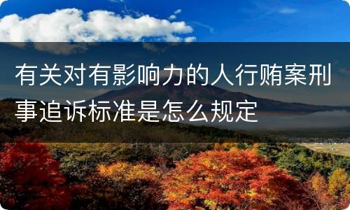有关对有影响力的人行贿案刑事追诉标准是怎么规定