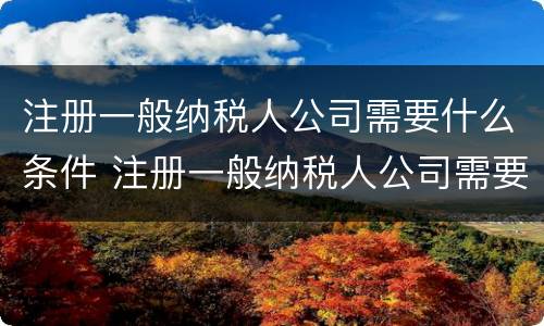 注册一般纳税人公司需要什么条件 注册一般纳税人公司需要什么条件及多少费用