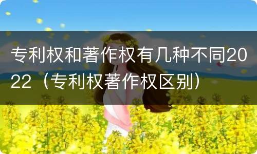 专利权和著作权有几种不同2022（专利权著作权区别）