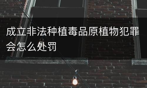 成立非法种植毒品原植物犯罪会怎么处罚