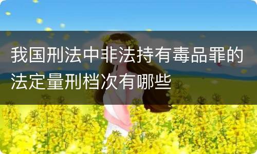 我国刑法中非法持有毒品罪的法定量刑档次有哪些