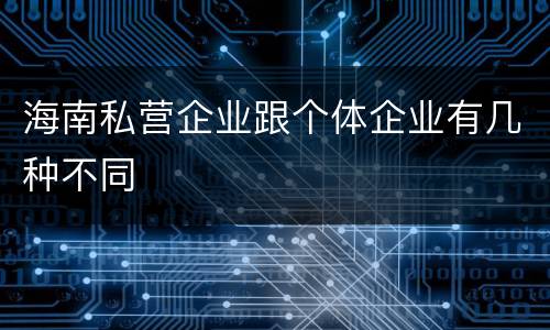 海南私营企业跟个体企业有几种不同