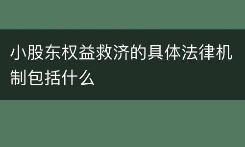 小股东权益救济的具体法律机制包括什么