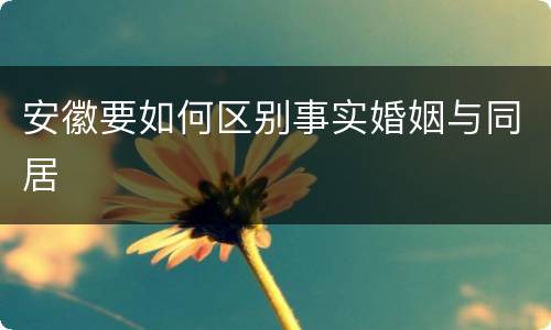 安徽要如何区别事实婚姻与同居