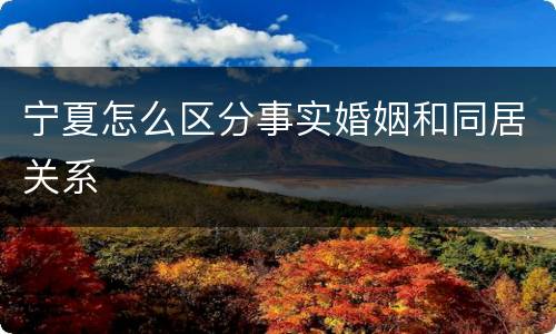 宁夏怎么区分事实婚姻和同居关系