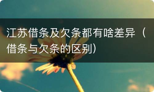 江苏借条及欠条都有啥差异（借条与欠条的区别）