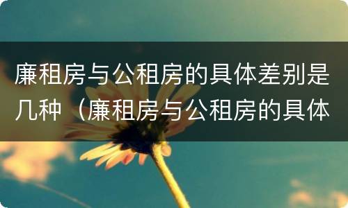 廉租房与公租房的具体差别是几种（廉租房与公租房的具体差别是几种方式）