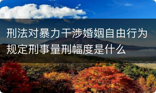 刑法对暴力干涉婚姻自由行为规定刑事量刑幅度是什么