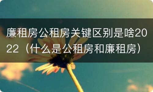 廉租房公租房关键区别是啥2022（什么是公租房和廉租房）