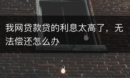 我网贷款贷的利息太高了，无法偿还怎么办
