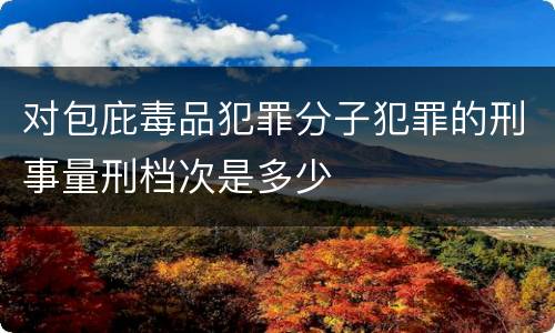 对包庇毒品犯罪分子犯罪的刑事量刑档次是多少
