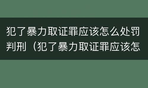 犯了暴力取证罪应该怎么处罚判刑（犯了暴力取证罪应该怎么处罚判刑几年）