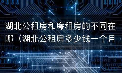 湖北公租房和廉租房的不同在哪（湖北公租房多少钱一个月）