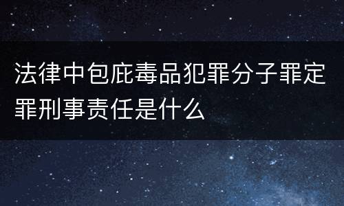 法律中包庇毒品犯罪分子罪定罪刑事责任是什么