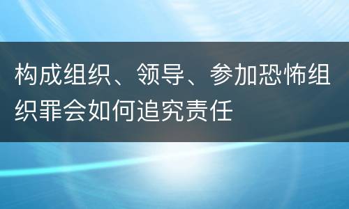 构成组织、领导、参加恐怖组织罪会如何追究责任