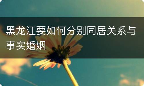 黑龙江要如何分别同居关系与事实婚姻