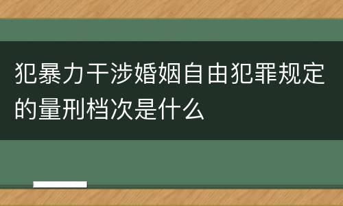 犯暴力干涉婚姻自由犯罪规定的量刑档次是什么