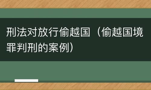刑法对放行偷越国（偷越国境罪判刑的案例）