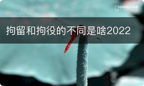 拘留和拘役的不同是啥2022