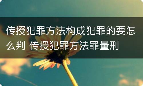 传授犯罪方法构成犯罪的要怎么判 传授犯罪方法罪量刑