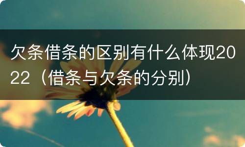 欠条借条的区别有什么体现2022（借条与欠条的分别）