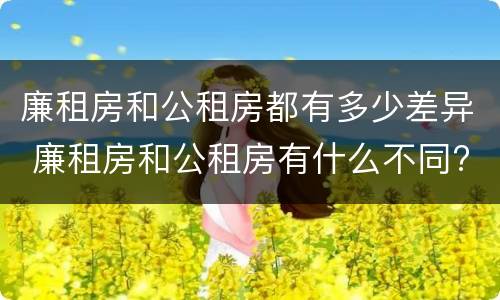 廉租房和公租房都有多少差异 廉租房和公租房有什么不同?