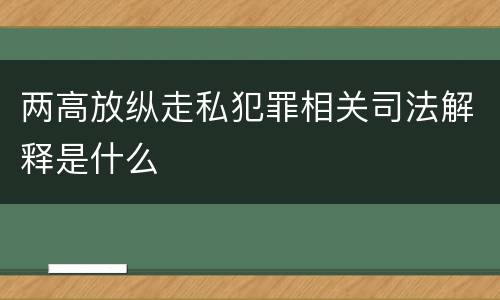 两高放纵走私犯罪相关司法解释是什么