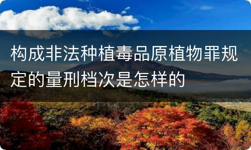 构成非法种植毒品原植物罪规定的量刑档次是怎样的