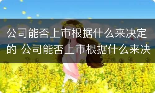公司能否上市根据什么来决定的 公司能否上市根据什么来决定的呢